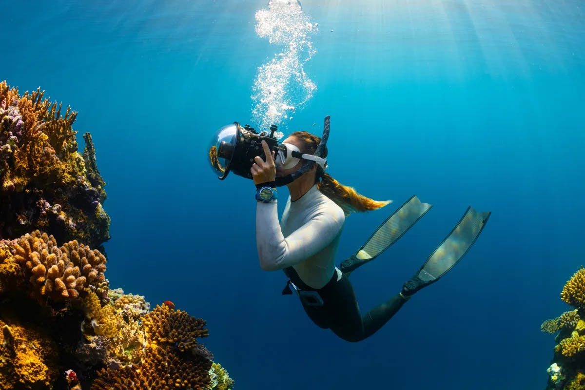 A woman scuba diving in the sea taking a picture of coral