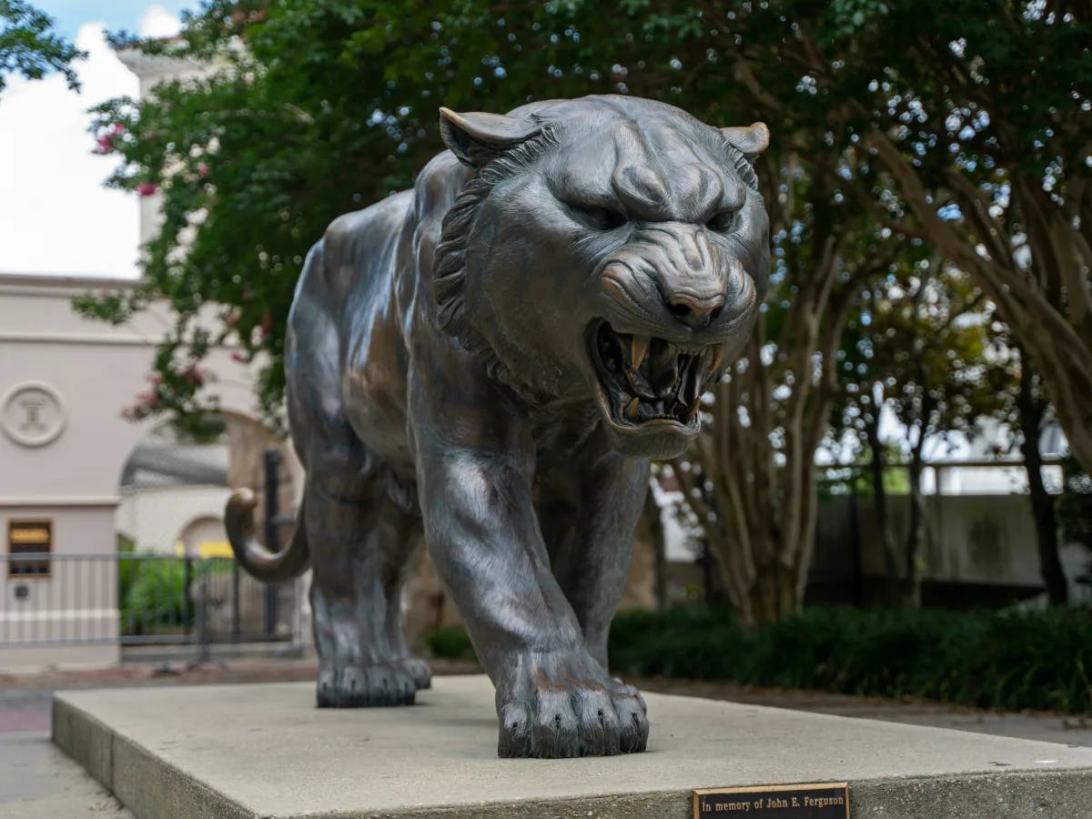 A picture of LSU's mascot, a snarling tiger. There are trees and a stone building in the background. 