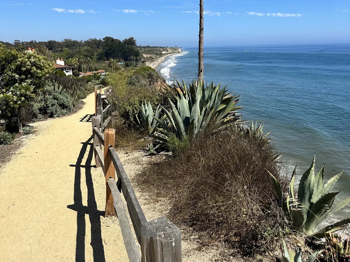 A view of a sandy trail, wooden fence, ocean and wild plants. 