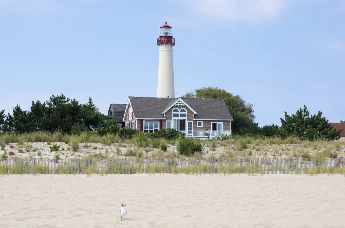 A beach with a seagull walking on it and a lighthouse in the background, surrounded by trees, brush and wild grass. 