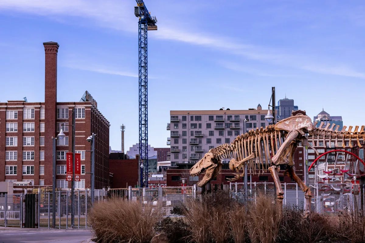 A view of a dinosaur skeleton replica in front of city buildings in the daytime. 