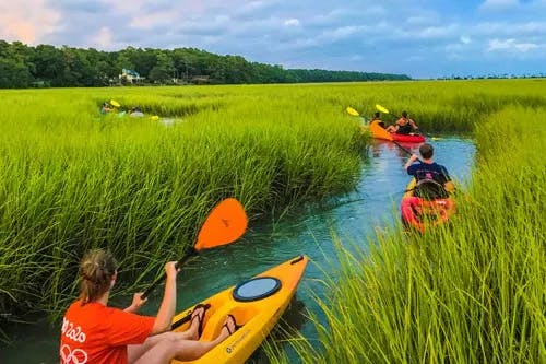 Go kayaking through the narrow salt marsh creeks with J & L Kayaking.