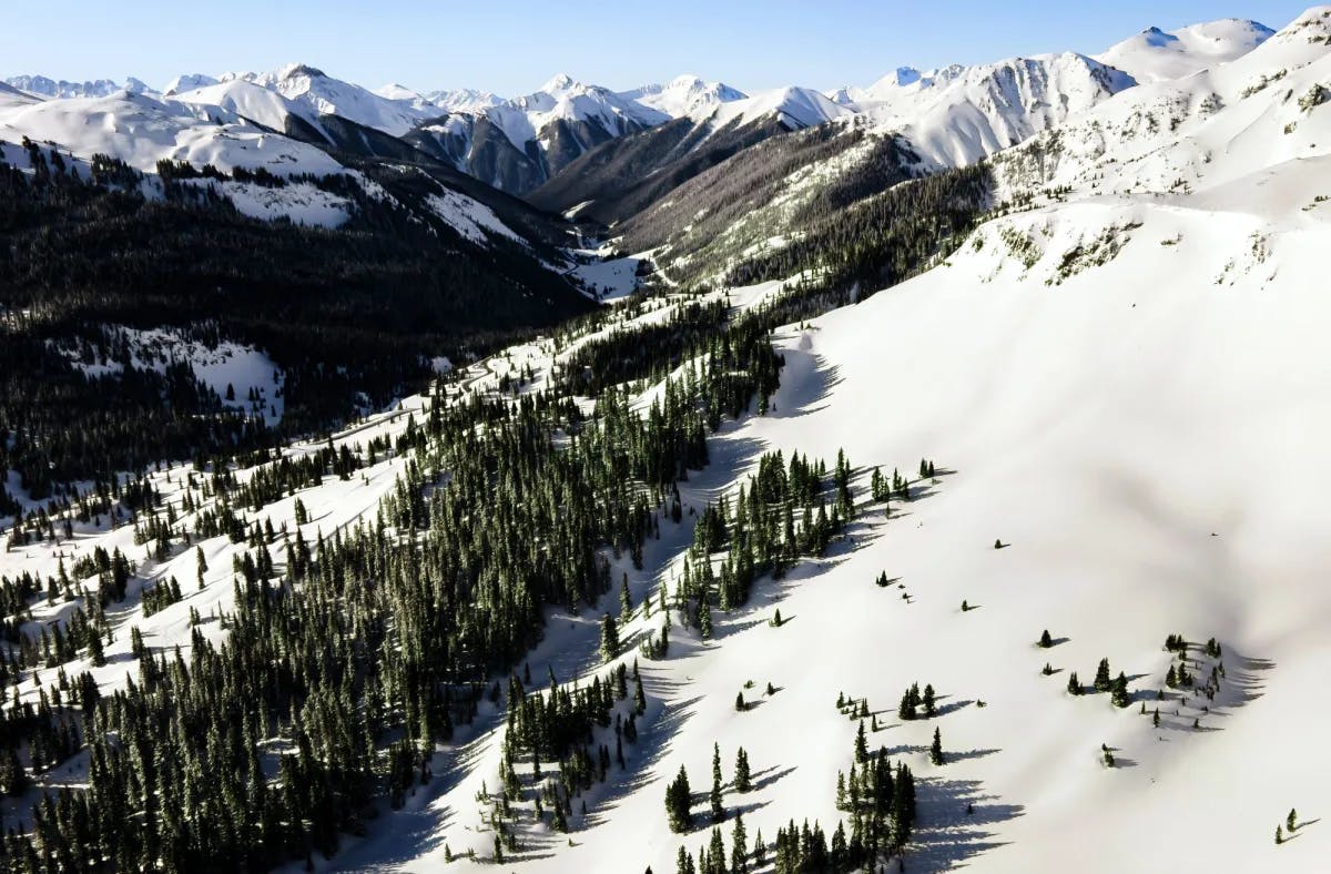 Aerial view of a snowy mountain with trees in the foreground.