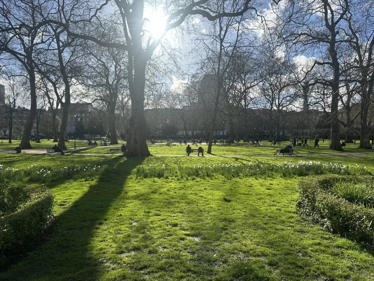 Sunlight shining through the trees of Russel Park, with a lush green lawn, and people in the background enjoying the day.