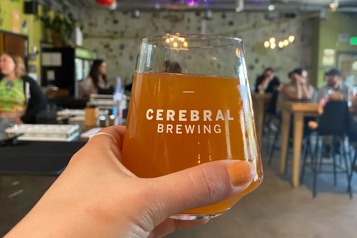 Cerebral Brewing serves craft beers in a light & airy, science-inspired setting.