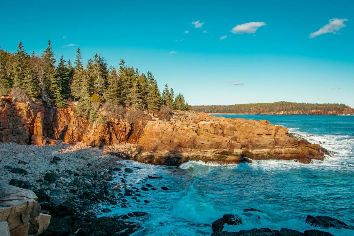 A view of Acadia National Park's rugged coastline with waves crashing along the shore and pine trees towards the left side of the image.