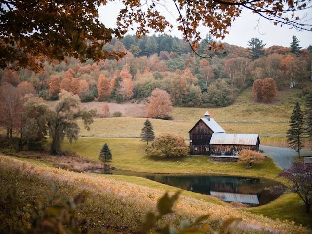 brown and white farm house in a clearing with a pond in front of it during the fall