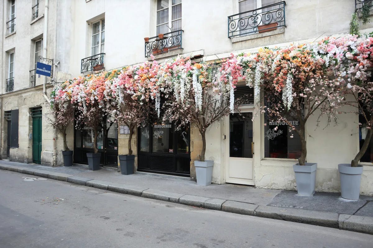 A white building with plentiful flowers hanging outside.