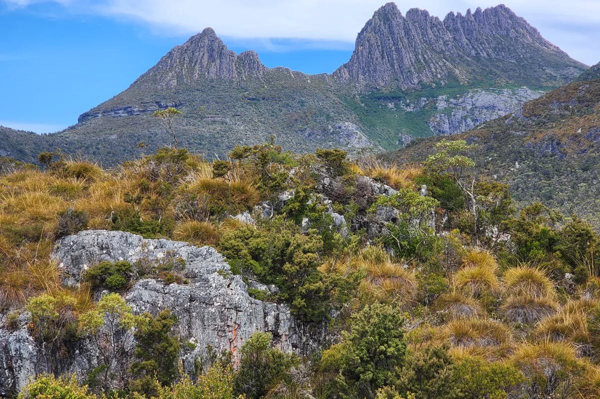 Cradle Mountain behind greenery-covered hills