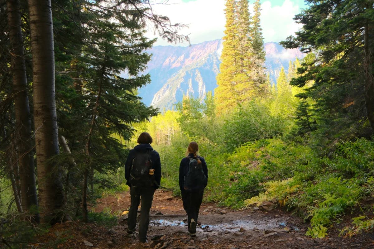 A man and woman hiking in forest.
