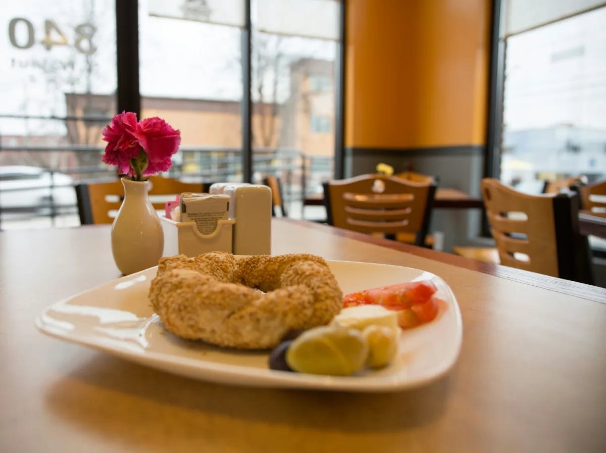 A picture of a bagel on a white ceramic plate on top of a wooden table. There is a small vase with a flower in the background and windows on every side of the restaurant. 