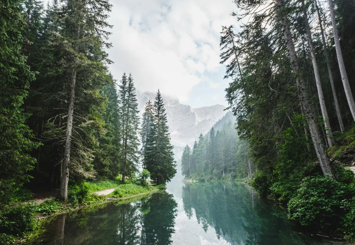 A peaceful forest landscape with a reflective lake, towering evergreens, and a hazy mountain backdrop. 