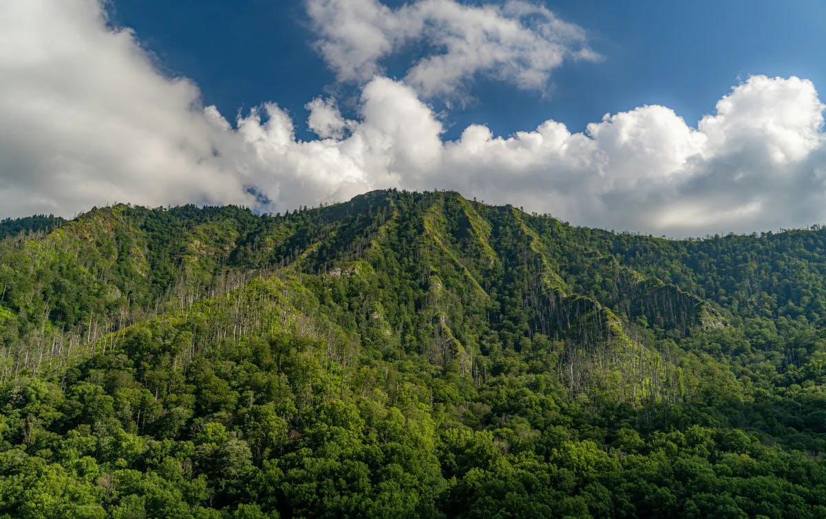 An aerial view of the Great Smoky Mountains National Park during the daytime.