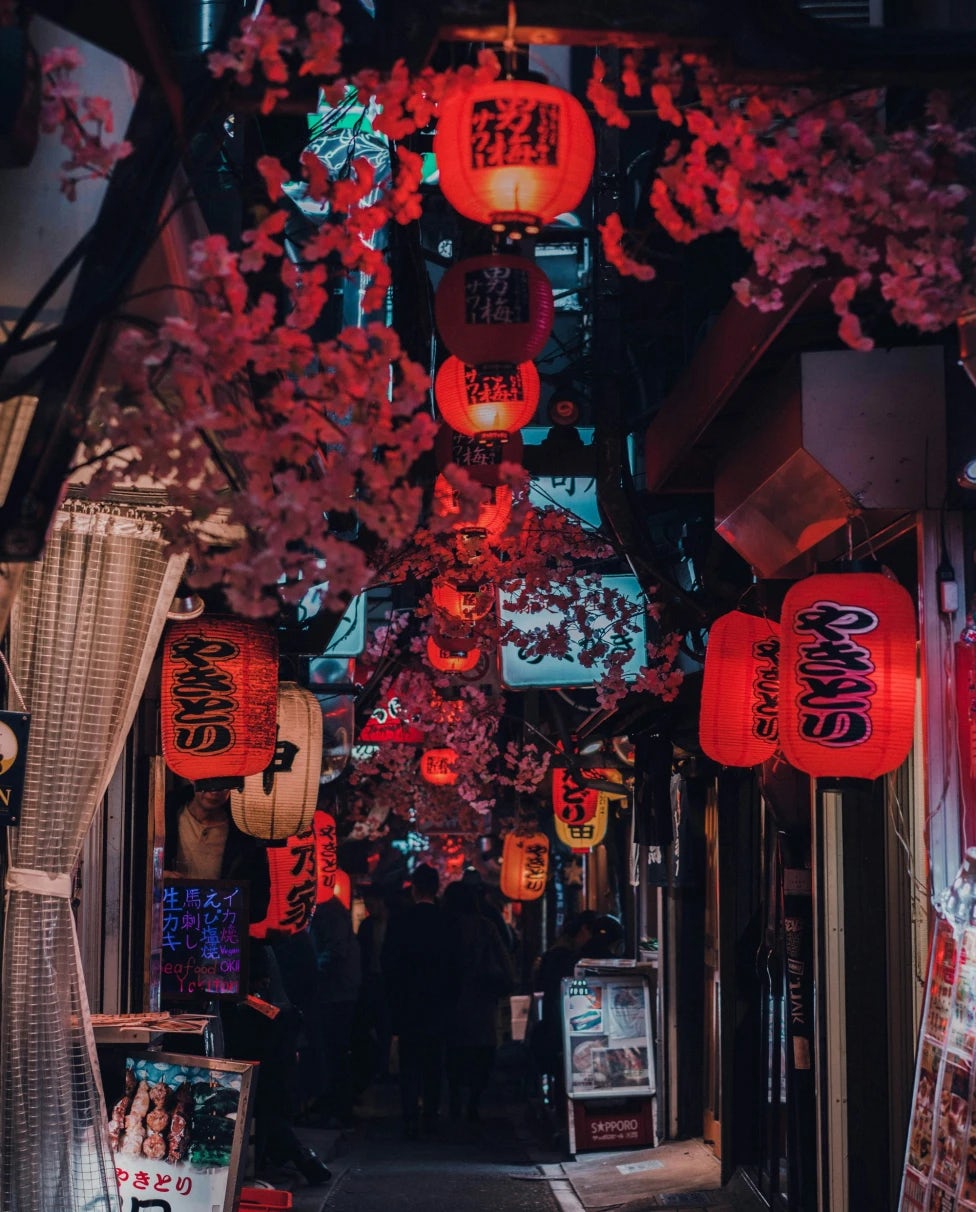 What to Visit in Japan: A Comprehensive Travel Guide