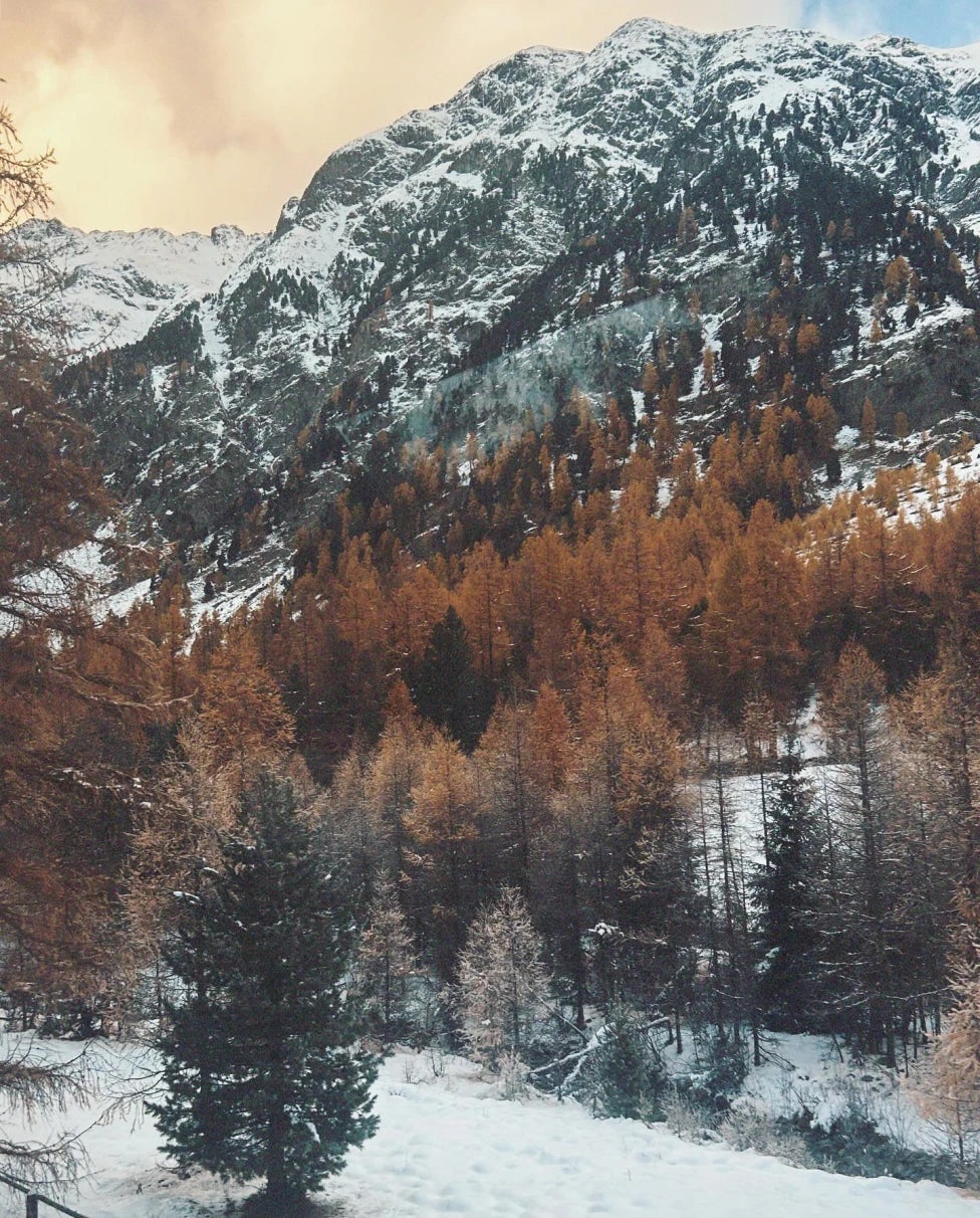 Italy to Switzerland on the Bernina Express