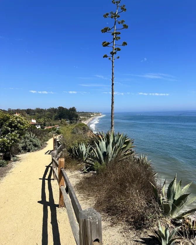 Beautiful view of coastal path along West Coast beach