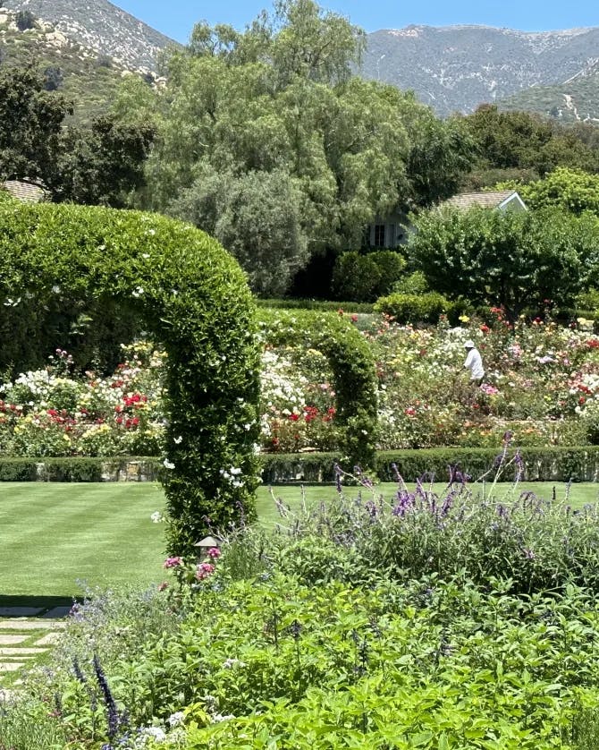 Beautiful view of a garden with a green arch and mountains in the background