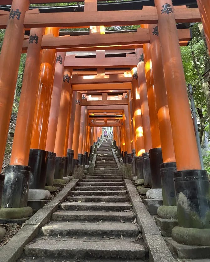 View of Fushimi Inari Taisha