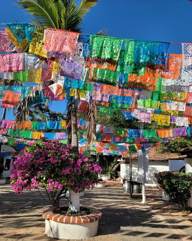 Colorful view of Puerto Vallarta