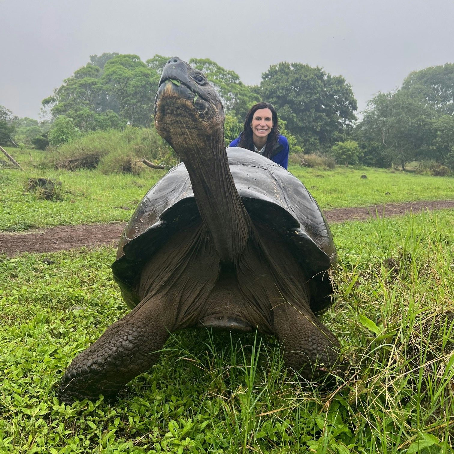 Alicia Austin with a tortoise