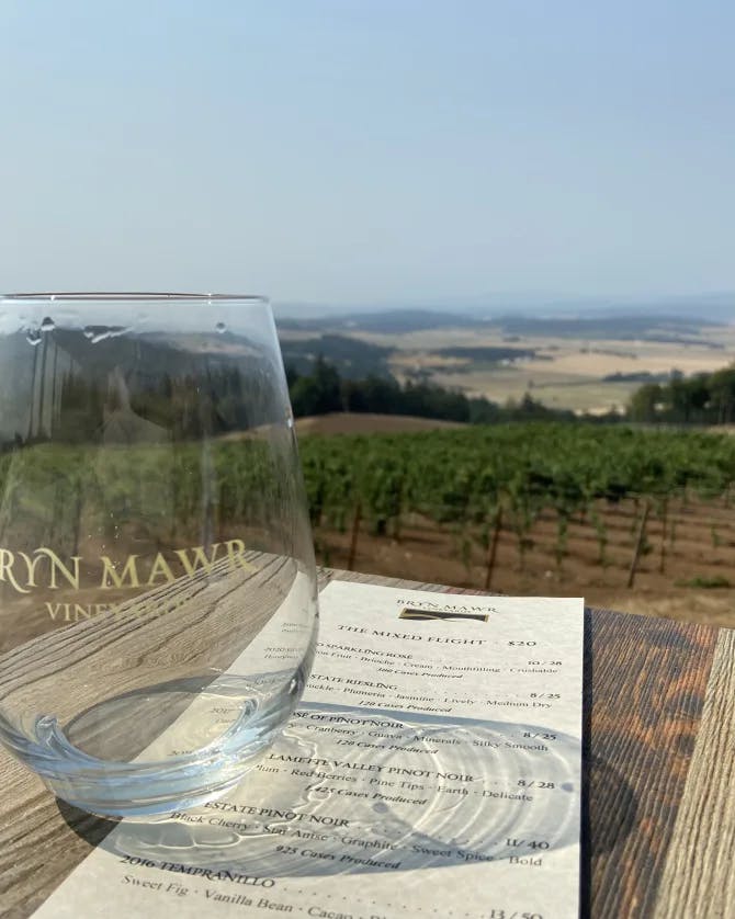 Beautiful view of a vineyard