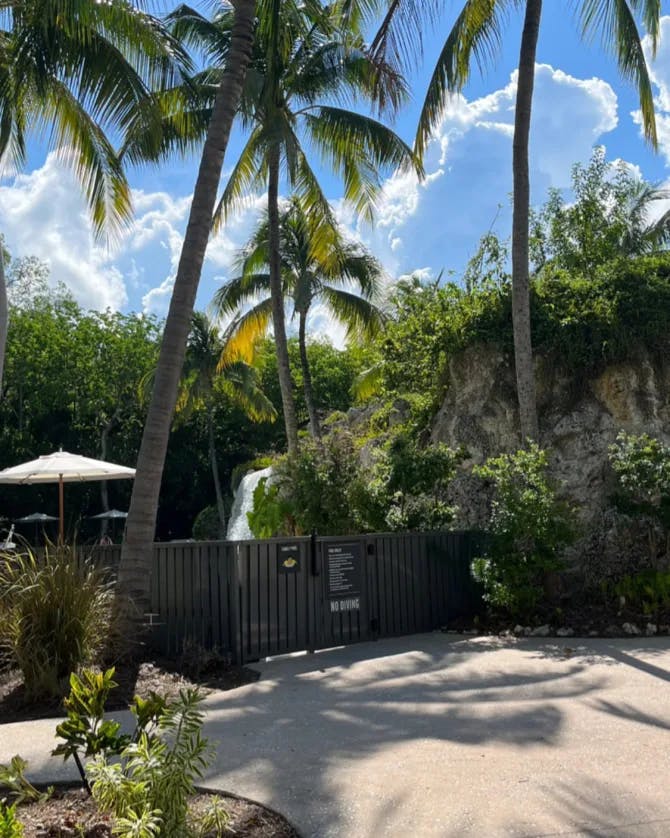 Palm trees at Baker's Cay Resort
