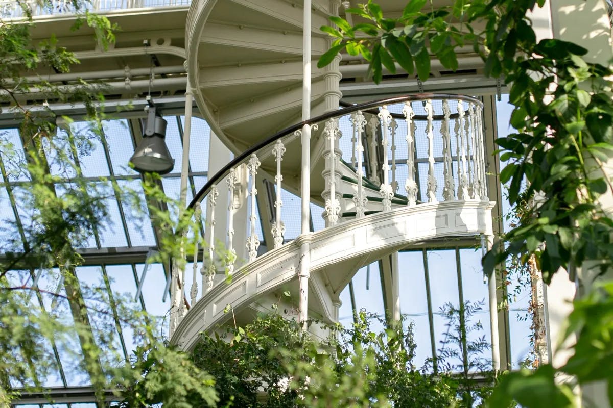 a white spiral staircase in a plant-filled atrium