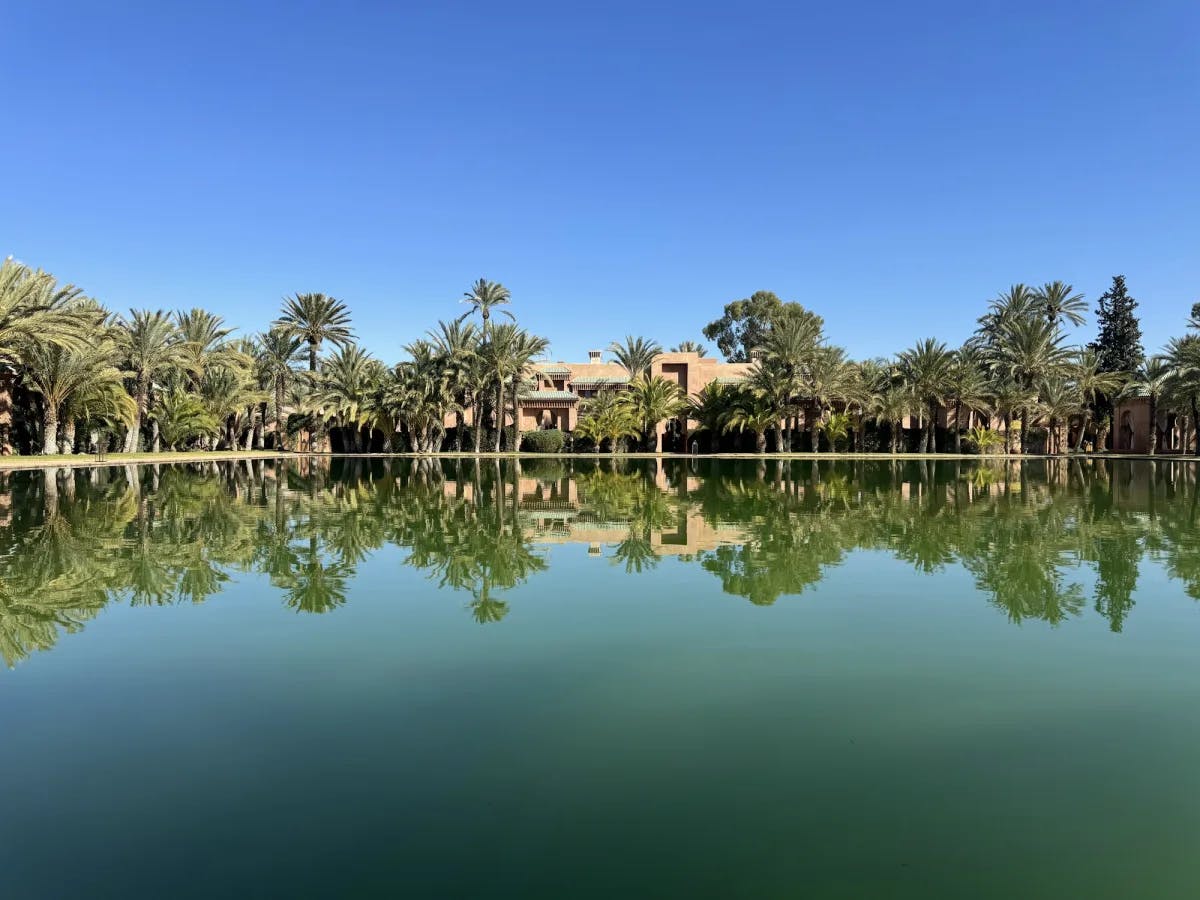 a brown building surrounded by palm trees overlooking a lake