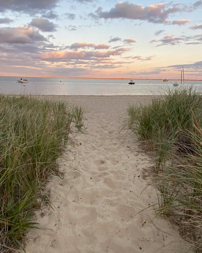 A sandy path, green wild grass and boats on the water at sunset. 