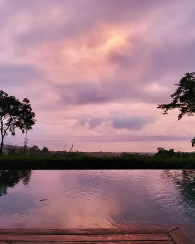 A pink sunset over an infinity pool with trees in the background.