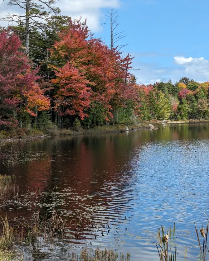 Beautiful fall view of the lake