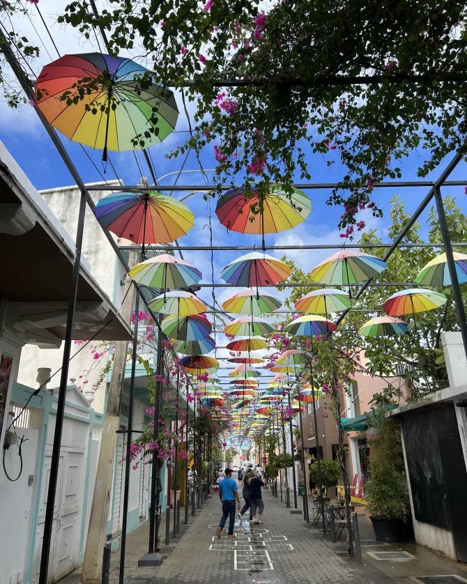 Street decorated with umbrellas