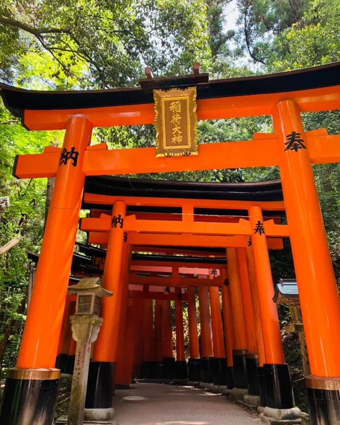 Picture of Fushimi Inari Taisha, bright orange and colorful
