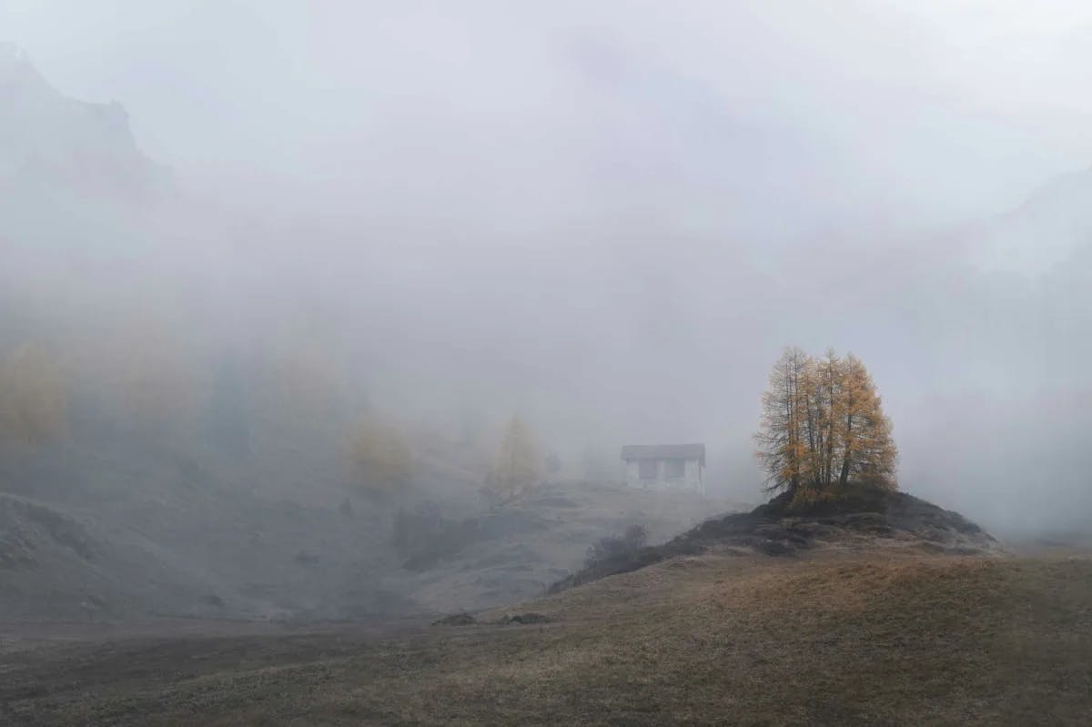 Fall foliage and hills are faintly visible through thick fog somewhere in Maloja, Switzerland