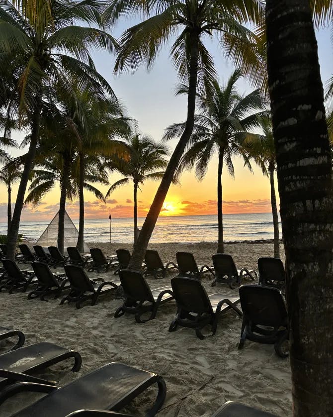 View of loungers on the beach with sunset backdrop and palm trees