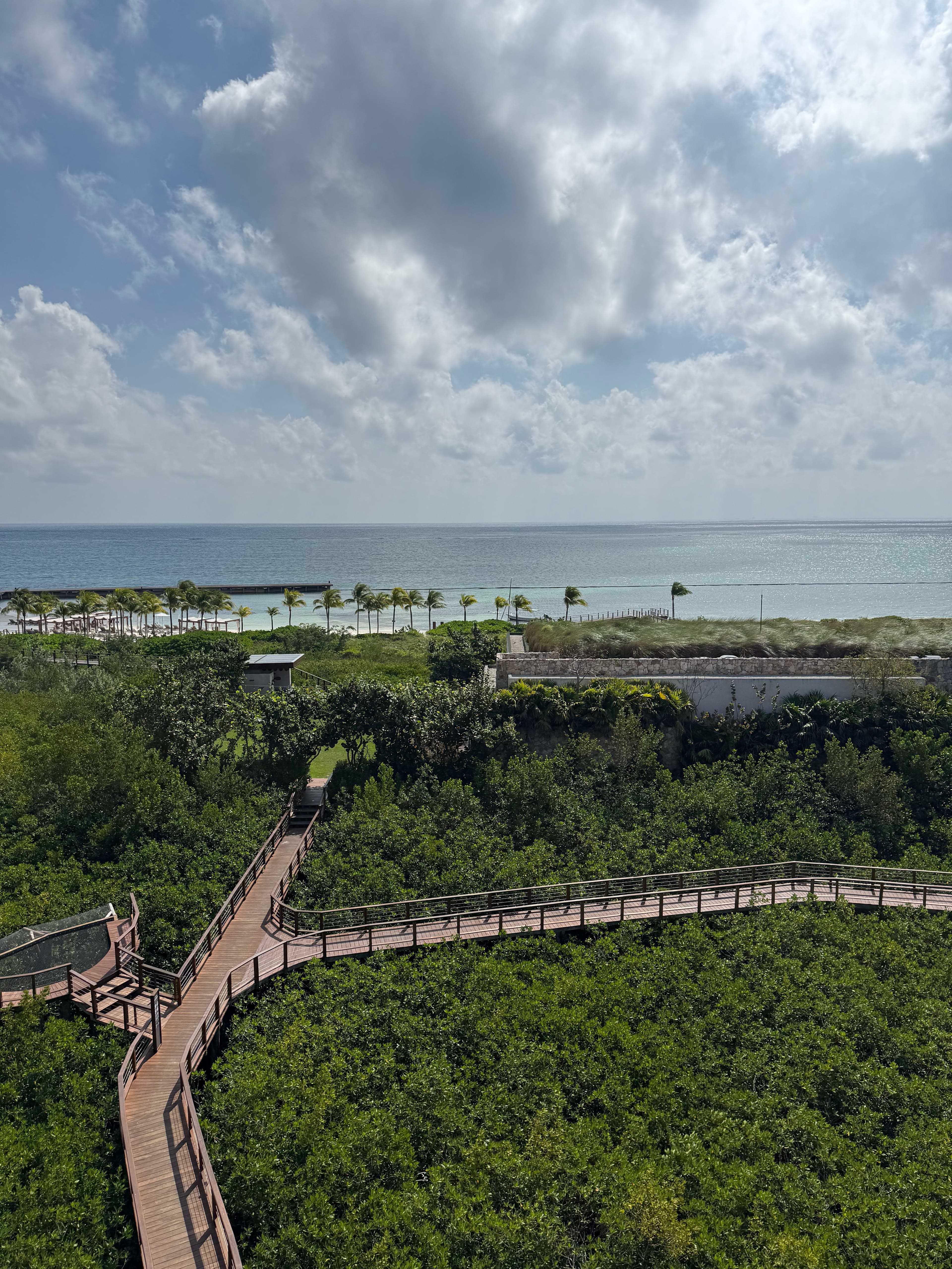 Site Inspection at Etéreo Auberge curated by Alberto Mussali