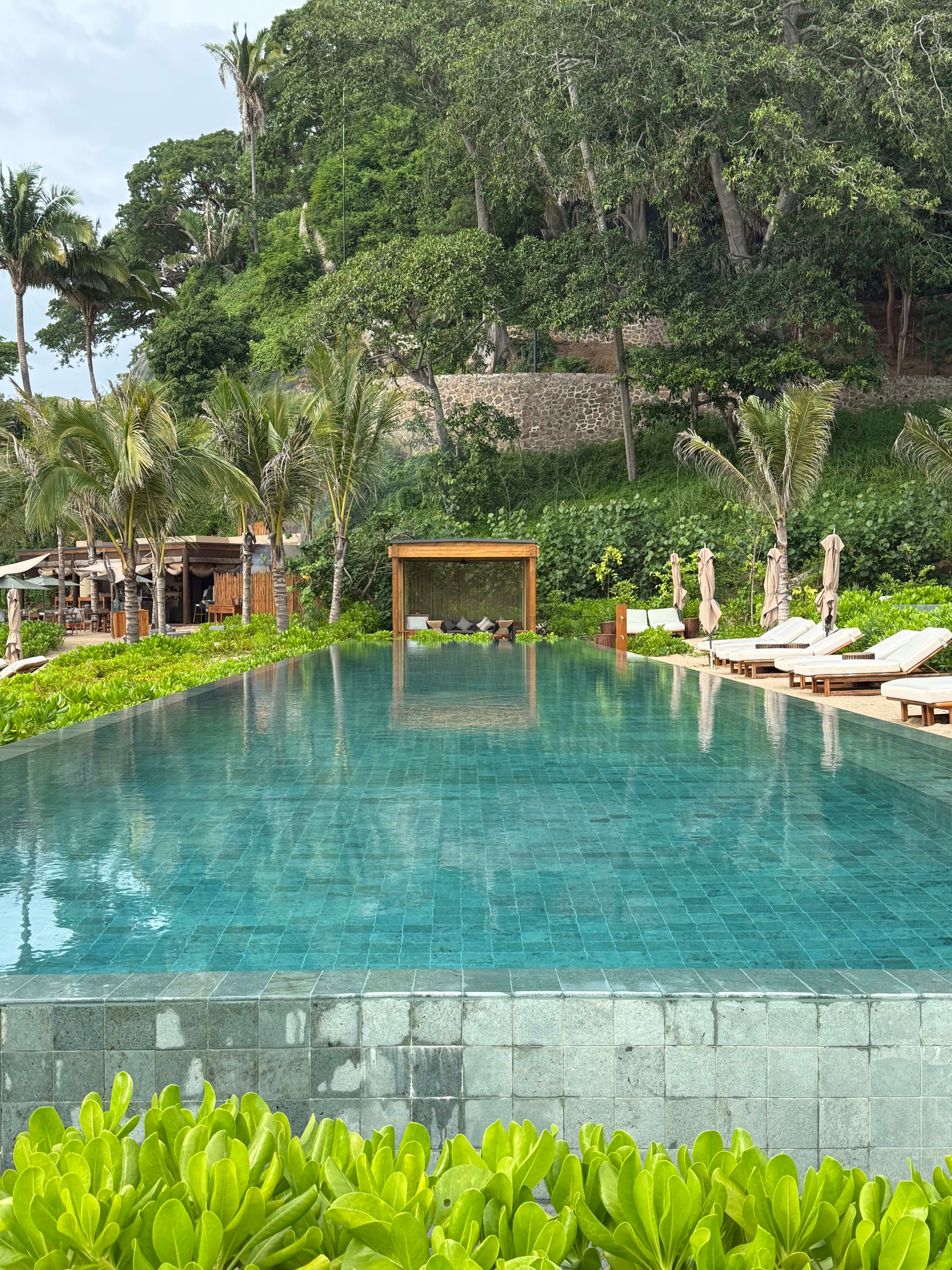 Luxury in the Wild: Experiencing Rosewood Mandarina curated by Alberto Mussali