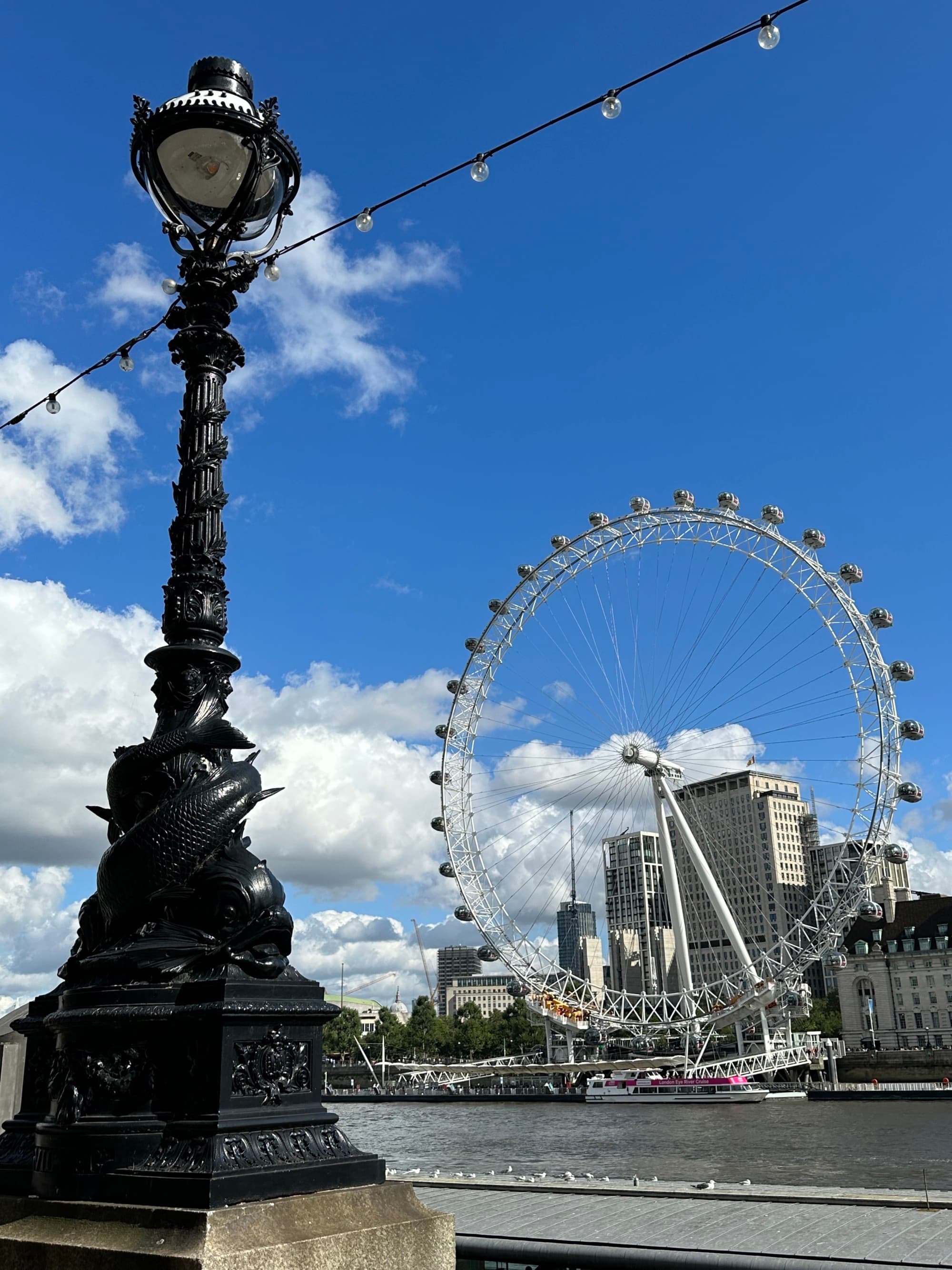 A big ferry wheel near a water body during day time.