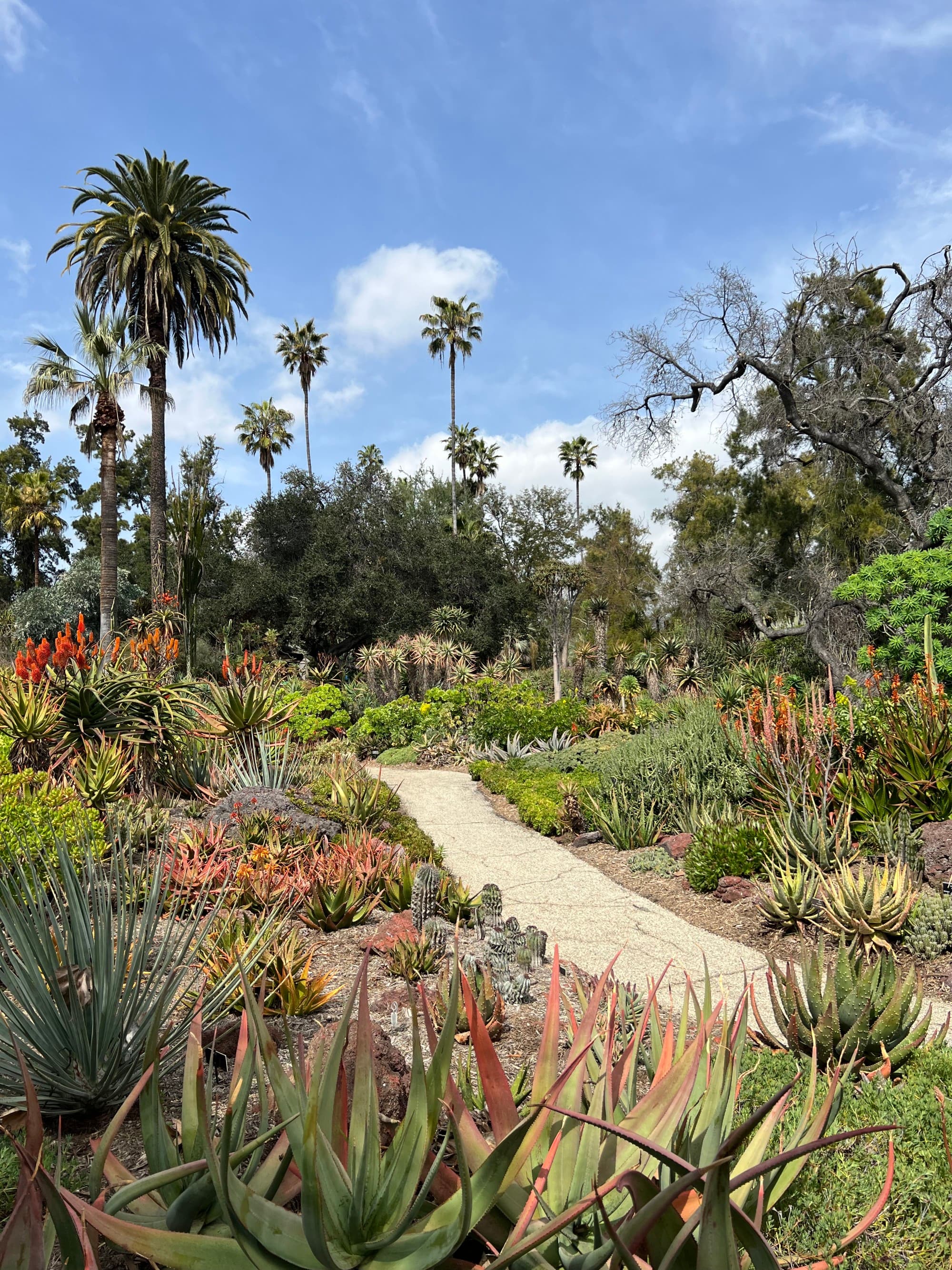A picture of a floral garden with different plants and palm trees during the daytime.