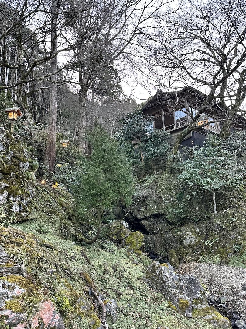 Outside cottage view