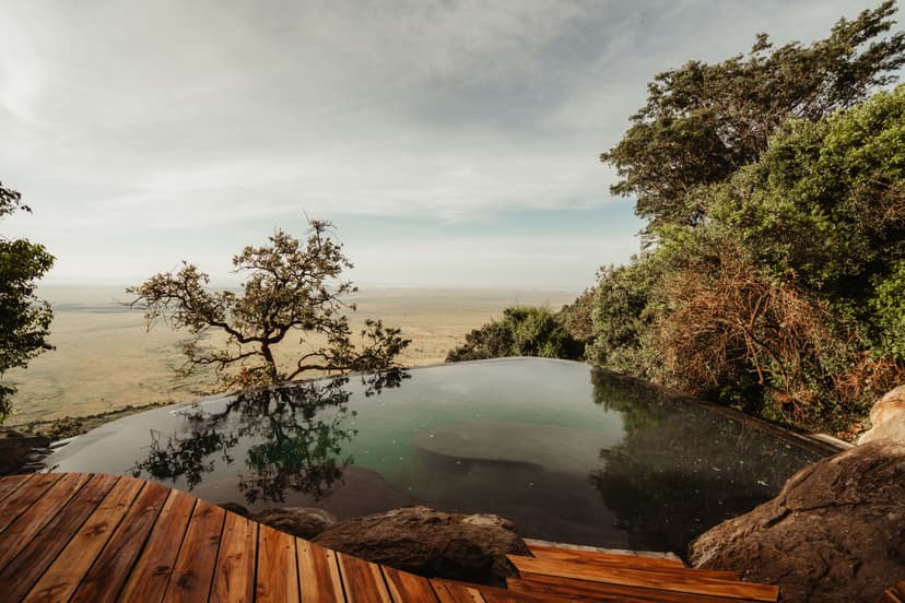 an infinity-edged pool overlooking the African savanna