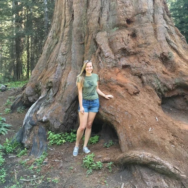 Elizabeth wearing a green t-shirt and denim shorts while posing beside an extremely large tree trunk in a forest. 
